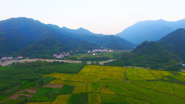 丁香西柏田野