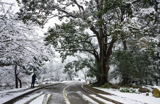 牯牛降雪景