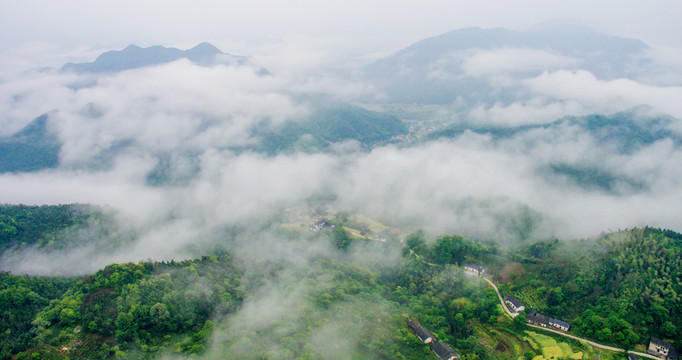 高山云雾