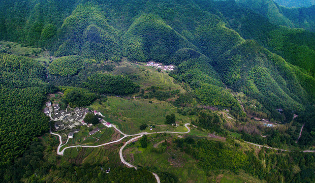 莲花山