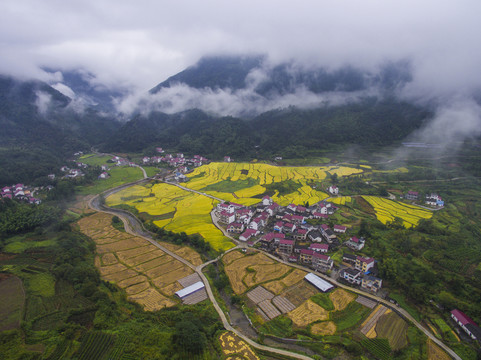 库山村