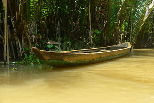 越南湄公河岸水椰树林和小木船
