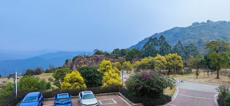 山顶风景