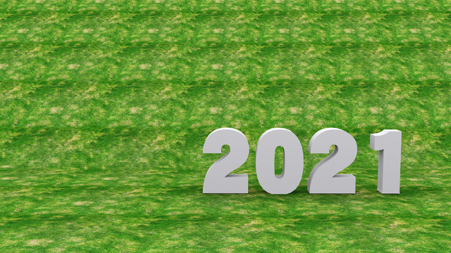 2021年