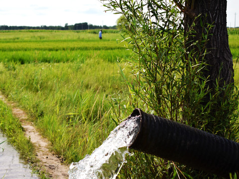 水稻灌溉