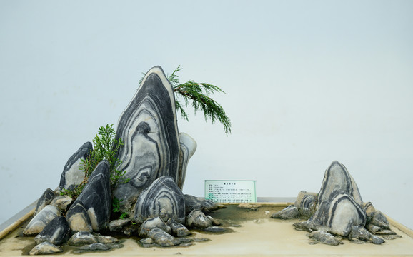 奇石盆景