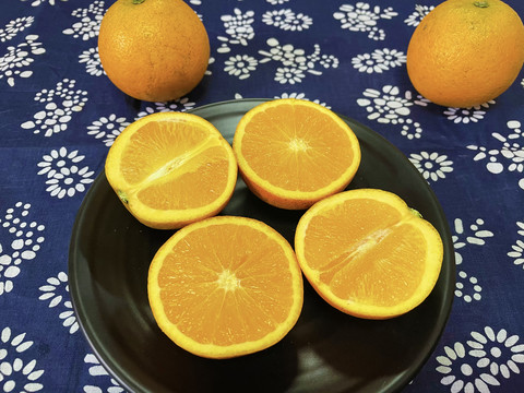 冰糖橙