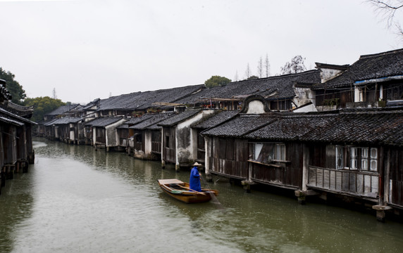 雨中东栅