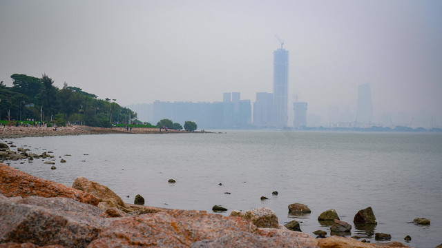 深圳湾的海滩与石头