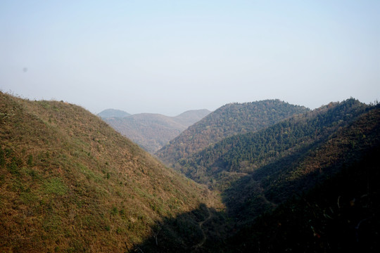 山
