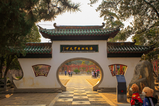 洛阳牡丹甲天下