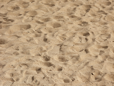 黄色的沙子