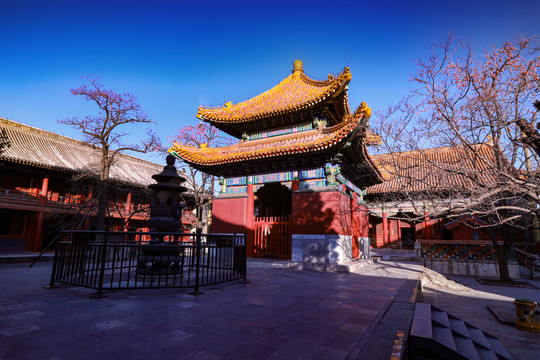 北京雍和宫