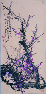 国画紫色梅花