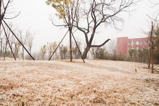 下雪后的城市公园