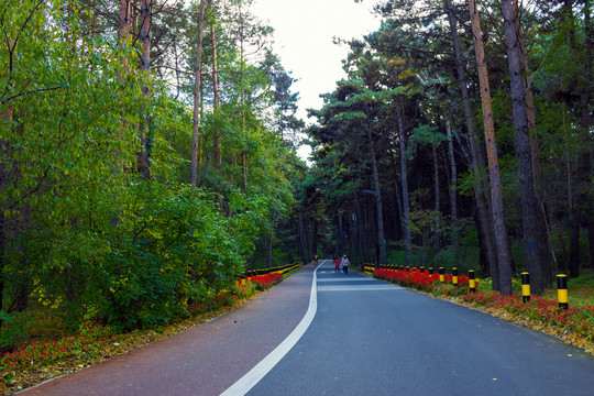 环潭公路