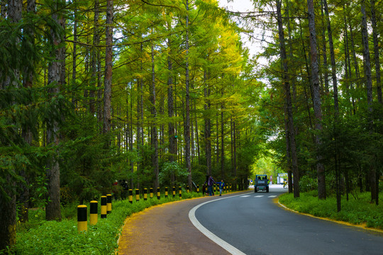 环潭公路