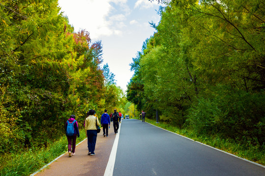 环潭公路秋景