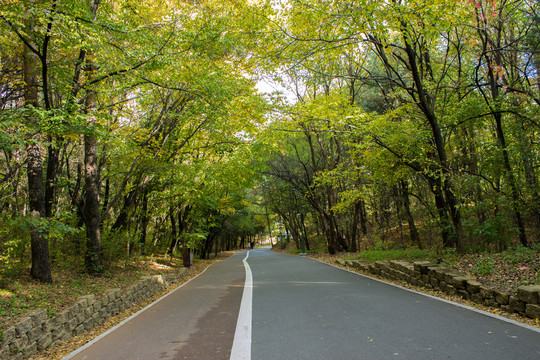 净月潭森林公园环潭公路