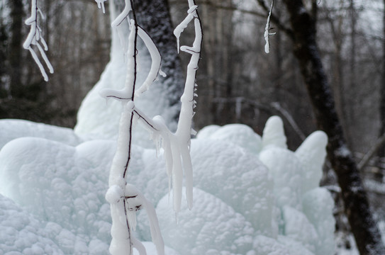 冬季东北雪景雾凇树挂