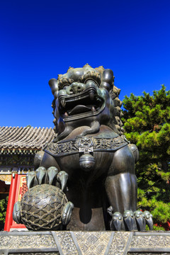 北京皇家园林颐和园东宫门前铜狮