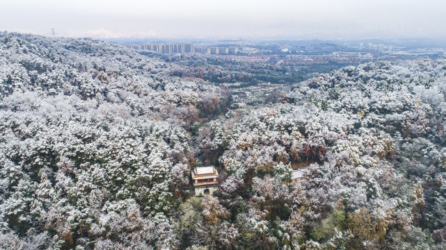 雪景