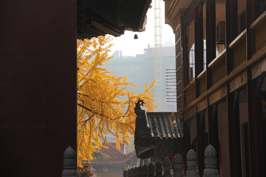 宝通禅寺