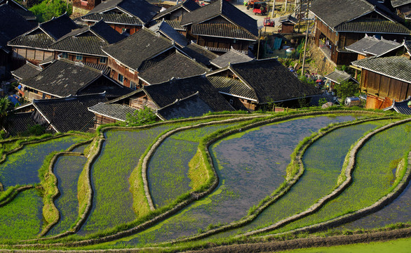 加榜梯田