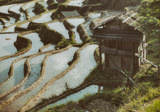 加榜梯田