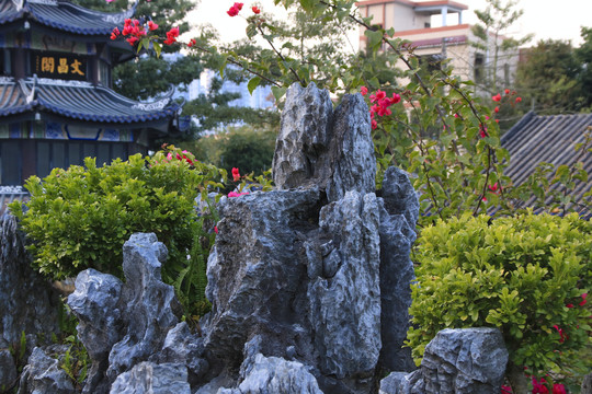 余荫山房岭南中式园林