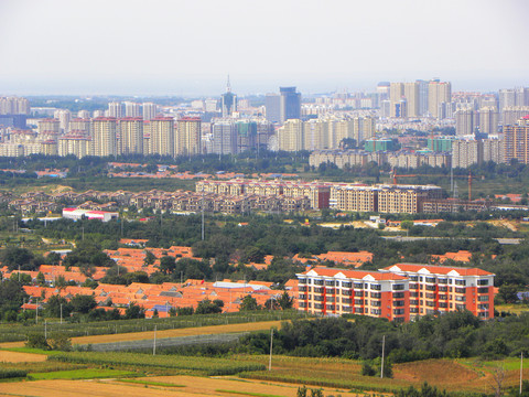 莱州市上田家村