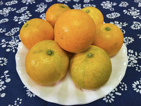 脐橙