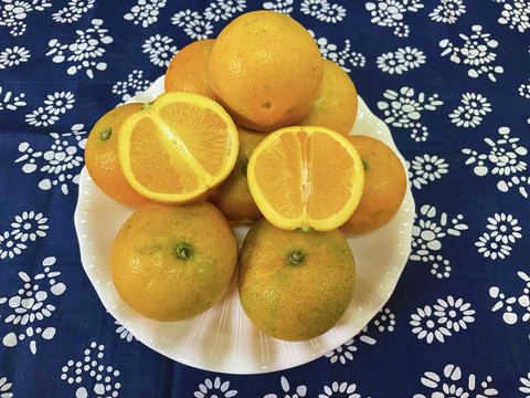 脐橙