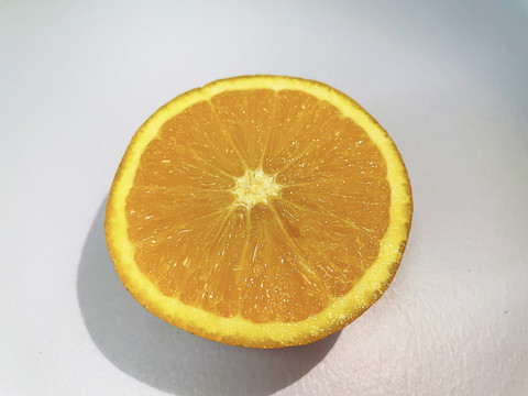 脐橙