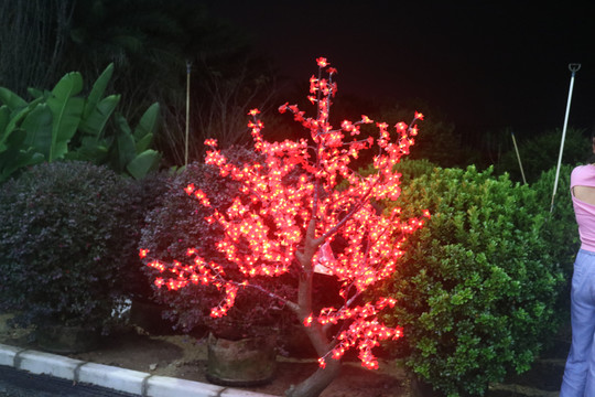 植物灯光艺术