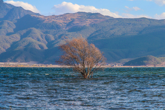 苍山洱海