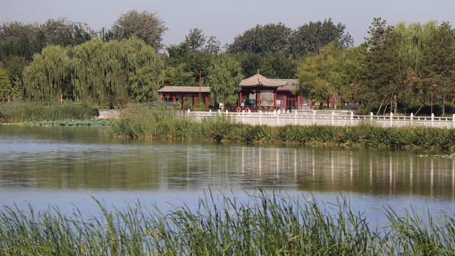 北京城市风光北京南海子公园