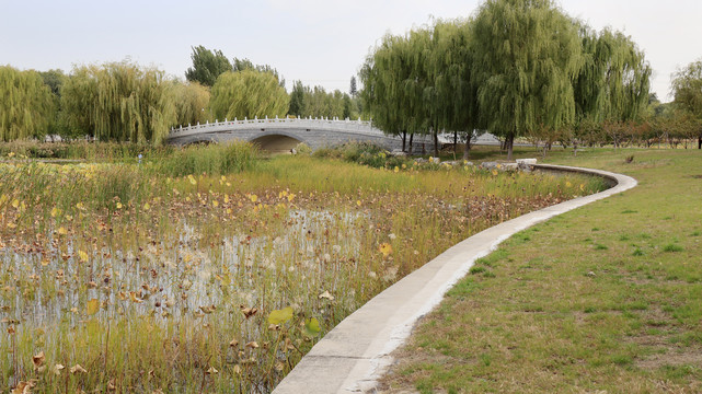 北京城市风光北京南海子公园