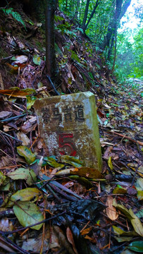 茶马古镇石碑原始山路