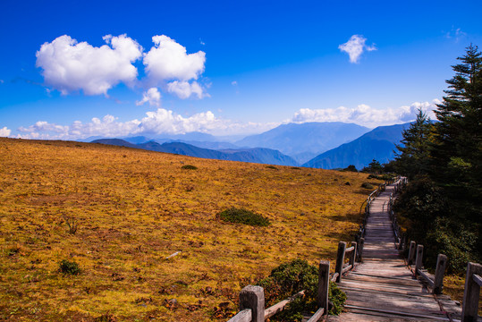 牦牛坪高山牧场