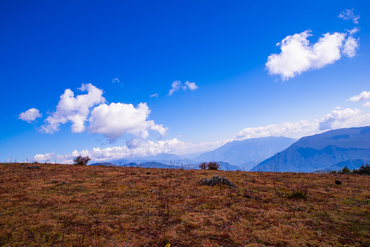 高山草原风光