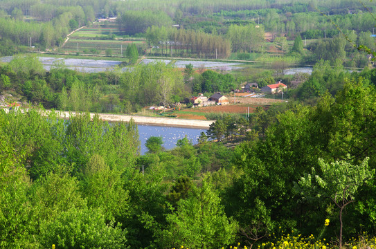 山谷春野