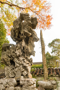 狮子林风光