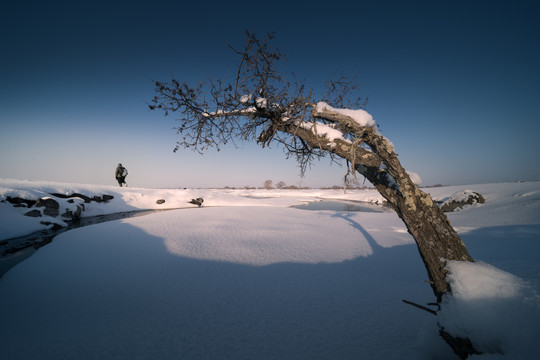 冰雪