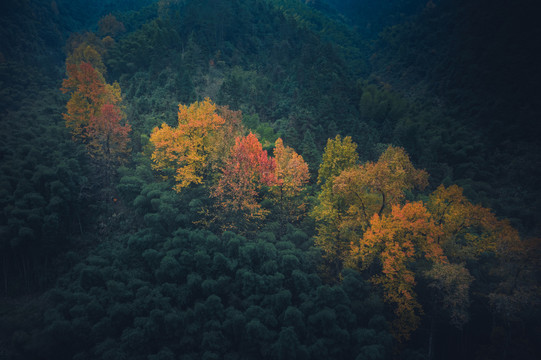 箬溪岭红枫古道