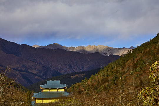 黄龙