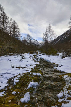 黄龙