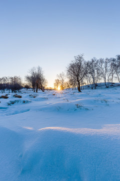 冬天内蒙古坝上雪地森林里的日出
