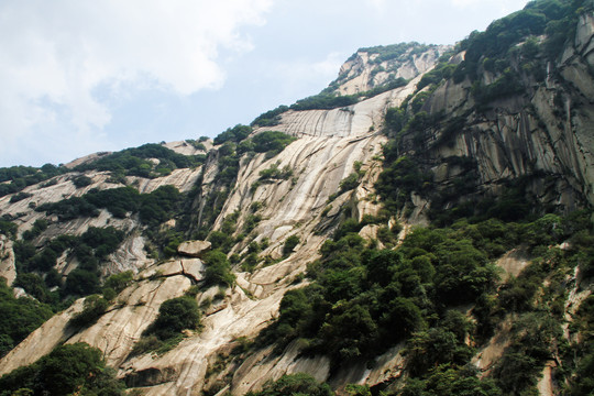 仰望华山北峰