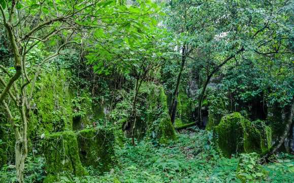 峰奇怪石山绿园林